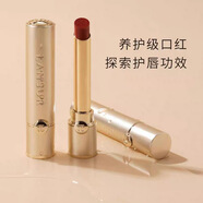 蘭瑟真絲派絨霧奶油唇膏霧面啞光不易脫色柔霧小金條細管滋潤口紅 503 戰衣（復古紅棕）