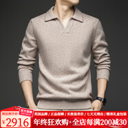 DVW品牌羊毛衫男100%純羊毛加厚款毛衣2025新款純色海鷗領(lǐng)冬季打底衫 花米駝 【100純羊毛加厚毛衣】 3XL 190 推薦體重180-200斤