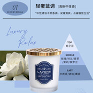 OTHER日本原裝LAVONS朗蓬恩天然有機室內固體香水香薰香膏空氣芳香消臭 輕奢藍調 輕奢藍調