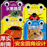 寶貝早教有聲讀物：動(dòng)物樂(lè )園+世界名車(chē)+水果蔬菜+昆蟲(chóng)王國（全4冊）