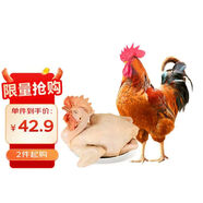 溫氏 供港農養大公雞凈重2.4斤 冷凍高品質(zhì)林地大公雞走地雞 雞肉