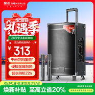 金正（NINTAUS）8吋廣場(chǎng)舞音響 戶(hù)外便攜式藍牙音響 大音量大功率拉桿音箱k歌專(zhuān)業(yè)設備可移動(dòng)帶雙咪 N12-20