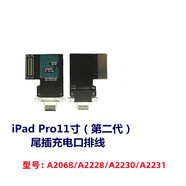 京修客適用于蘋果ipad5 ipad6 ipad7 ipad8  ipad9 mini4/5/6 air2/air3/air4尾插排線USB充電口接口插口 Pro11寸2代尾插排線