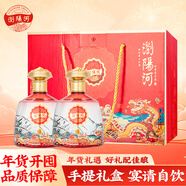 瀏陽(yáng)河 四海歡愉 500ml*2瓶 禮盒裝 52度濃香型白酒 過(guò)年宴請送禮
