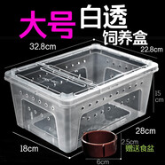 rep-shop爬蟲(chóng)爬寵飼養盒守宮蜥蜴蠶寶寶蝎子蜘蛛角蛙昆蟲(chóng)寄居蟹樹(shù)棲飼養箱 大號白透飼養盒