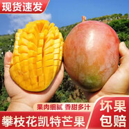 庾豐 芒果當(dāng)季新鮮水果孕婦熱帶青皮芒果 大青芒樹上現(xiàn)摘 需催熟 10斤裝（凈果8.5-9斤）優(yōu)選果 甄選品質(zhì) 京鮮直采
