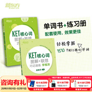 新東方劍橋KET綜合教程官方教材真題核心詞匯聽(tīng)力閱讀寫(xiě)作2025英語(yǔ)考試 ket對應朗思A2青少版 【全2冊】KET核心詞圖解+聯(lián)想巧記速練+學(xué)練測