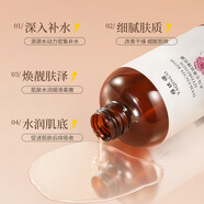 雅琪諾大馬士革玫瑰純露500ml爽膚水補水保濕敷水精華水護膚品 大馬士革玫瑰花露500ml/瓶