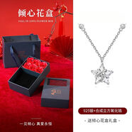 銀千惠銀項鏈女吊墜新款鎖骨鏈時(shí)尚韓版學(xué)生簡(jiǎn)約森系掛件生日禮物 925銀幸運星項鏈,情人節送禮推薦【傾心花盒】