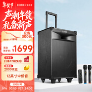 漫步者（EDIFIER）PW312 12英寸舞臺戶(hù)外移動(dòng)音箱 高保真音響廣場(chǎng)舞ktv露營(yíng)電木吉他民謠樂(lè )器音箱