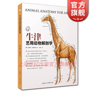 【可選】牛津藝用人體解剖學(xué)/牛津藝用動(dòng)物解剖學(xué) 西方經(jīng)典美術(shù)技法譯叢 牛津大學(xué)出版社授權中文版 上海人民美術(shù)出版社 牛津藝用動(dòng)物解剖學(xué)