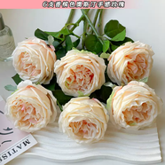 語(yǔ)森憶高端濕感奧斯汀粉色玫瑰花束攝影海邊黑紗婚紗影樓拍照仿真花假花 6枝奧斯汀玫瑰香檳色 6支