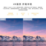 AOC  50寸大屏4K超高清/內置音箱/液晶智能家用電視顯示器 50U6086_4K_可壁掛_內置音箱 官方標配