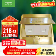 施耐德電氣 彈出阻尼式雙聯(lián)六類(lèi)電腦地插（不含底盒）銅質(zhì)光面E226RJ6_2_BAS