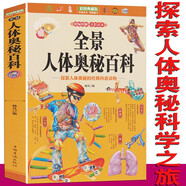 人體的奧秘 青少年探索人體奧秘的科普讀物 百科書(shū)籍 身體的秘密 發(fā)現之旅 中小學(xué)生課外讀物書(shū)籍