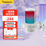 閃克（maono）電腦麥克風(fēng)游戲直播錄音箱話(huà)筒降噪usb手機臺式筆記本收音麥K歌DM20有線(xiàn)電容麥 DM20白色(懸臂款)