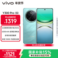 vivo Y300 Pro 8GB+256GB 金鑲玉 國家補貼 6500mAh超薄藍海電池 全等深微四曲屏 AI 拍照 手機