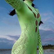 越蝶新款歐美風(fēng)性感網(wǎng)紗透視鏤空圓領(lǐng)長(cháng)袖緊身連體短褲女019 綠色 簡(jiǎn)裝(白卡+OPP)