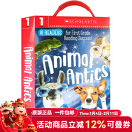 英文原版 Early Learners 16冊盒裝 Animal Antics First Grade Reader Box Set 學(xué)樂(lè )學(xué)前幼兒園閱讀啟蒙 Guided Reader 紅色 夢(mèng)想童趣