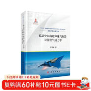 臨近空間高超聲速飛行器計算空氣動(dòng)力學(xué)