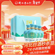 衡水老白干手釀禮盒 老白干香型白酒 42度 500ml*4瓶整箱裝 純糧春節送禮