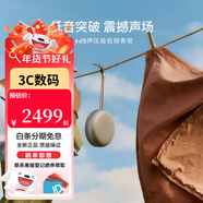 B&O Beosound A1 3rd Gen bo音響 便攜戶(hù)外無(wú)線(xiàn)藍牙音箱/音響 低音炮 a1 2代升級款 3代 自然鋁
