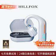 HILLFOX【德國品牌】聲控真無(wú)線(xiàn)藍牙耳機一拖二掛耳式不入耳智能語(yǔ)音商務(wù)長(cháng)續航單耳無(wú)線(xiàn)耳機適配蘋(píng)果華為 白色【智能語(yǔ)音聲控+ACS音效】