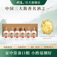 武陵酒【返30店鋪券】23年飄香小酒品鑒裝醬香型白酒 純糧食釀造 53度 100mL 6瓶