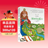 銀頂針的夏天 美繪典藏版國際大獎兒童文學(xué) 小學(xué)生三四五六年級課外閱讀9-12-15歲兒童讀物推薦閱讀3-6年級寒暑假書(shū)青少年世界經(jīng)典名著(zhù)故事書(shū)