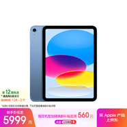 Apple/蘋(píng)果iPad 11英寸 A16芯片2025年款 平板電腦 (512GB eSIM版/學(xué)習辦公娛樂(lè ))藍色