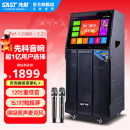 先科（SAST）家庭ktv音響套裝廣場(chǎng)舞音響帶顯示屏家用點(diǎn)歌機功放一體機戶(hù)外卡拉ok唱歌全套設備舞蹈播放器話(huà)筒 【SA-209】12吋低音+雙話(huà)筒