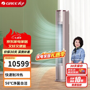格力（GREE） 3匹京御一級變頻冷暖離子凈化凈菌自潔 純銅管立柜式空調柜機 KFR-72LW/(72587)FNhAb-B1(JDWIFI)