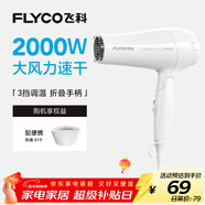 飛科（FLYCO）電吹風(fēng)機家用發(fā)廊大功率2000W速干恒溫便攜可折疊白色FH6232