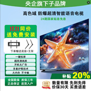 臻視界  TV二級能效 防爆電視4K超高清藍光護眼彩電 百級分區 智慧屏語(yǔ)音電視機新國標 節能版  55英寸 享支架+掛架