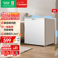 容聲（Ronshen）30升單門(mén)母嬰母乳冷凍柜家用一級能效母嬰母乳出租房辦公室省電小型冰箱小冰柜冰箱BD-30E10LNLAD