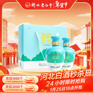 衡水老白干手釀禮盒 老白干香型白酒 42度500ml*2瓶禮盒裝 純糧禮盒春節送禮