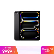 Apple/蘋(píng)果 iPad Pro13英寸M4芯片 2024年新款平板電腦(256G WLAN版/MVX23CH/A)深空黑色