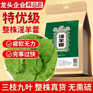 養益君淫羊藿100g精選整葉甘肅小葉淫羊藿茶又名仙靈脾做泡酒料男性滋補