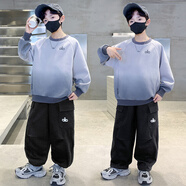 貝孩趣男童套裝春秋裝新款兒童休閑韓版中大童長(cháng)袖套裝休閑小男孩兩件套 灰色 120 碼(建議身高105-115厘米)