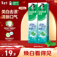 DARLIE好來(lái)(原黑人)清新雙效牙膏去口氣去漬固齒2支400g