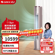 格力（GREE） 3匹京御一級變頻冷暖離子凈化凈菌自潔 純銅管立柜式空調柜機 KFR-72LW/(72587)FNhAb-B1(JDWIFI)