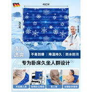 通用水墊防褥瘡老人免注水醫用 德國品質(zhì)防壓瘡水墊升級凝膠款水床墊 48*35cm【升級3.0深雪花】醫師 抗壓不易爆