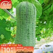 壽禾 肉絲瓜種子水瓜絲瓜絲爪蔬菜四季陽(yáng)臺菜瓜蔬菜壽光冬春季菜種 農雜三號肉絲瓜種子10g