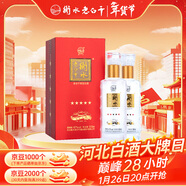 衡水老白干紅五星 老白干香型白酒 67度 500ml雙瓶裝 商務(wù)送禮