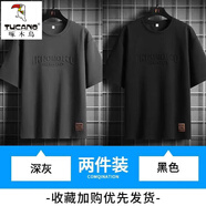 啄木鳥(niǎo)（TUCANO）大肚子短袖男士夏季2025新款寬松加肥加大碼半袖t恤衣服胖子男裝 FJN136-6858深灰+6858黑色 L 推薦110-125斤