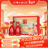 衡水老白干古法釀造中國紅67度老白干香型白酒500ml*2瓶禮盒 年貨春節送禮