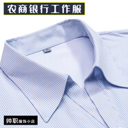 農商行襯衫長(cháng)袖藍色細條紋襯衣工裝男女農村信用社農商銀行工作服 V領(lǐng)長(cháng)袖襯衫：藍色細條紋 （V領(lǐng)只有女款） XL 男款（有口袋）