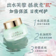 冰美人出水芙蓉沁潤50g早晚保濕面專(zhuān)柜正品批發(fā) 50g 冰美人出水芙蓉沁潤霜