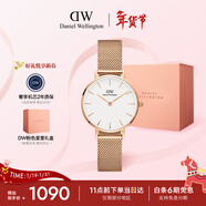 丹尼爾惠靈頓（DanielWellington）DW女士手表輕奢流金小眾石英鋼帶歐美女款腕表生日新年禮物送女生