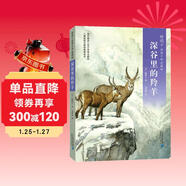 椋鳩十經(jīng)典世界動(dòng)物小說(shuō) 愛(ài)藏本5：深谷里的羚羊